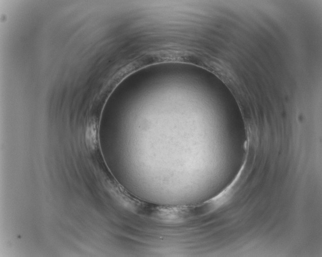 X0000063480190200601231356