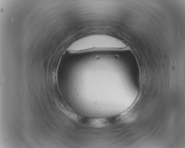 X0000063480191200601231356