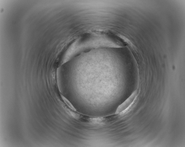 X0000063480192200601231356