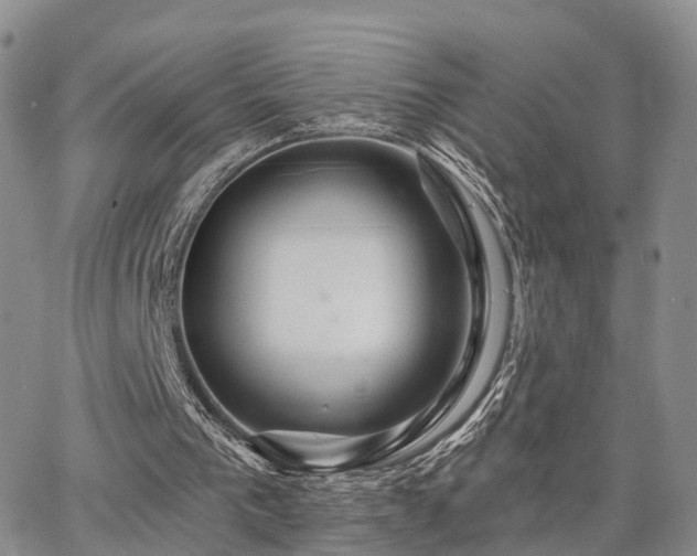 X0000063480193200601231355