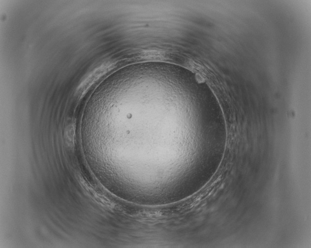 X0000063480194200601231355