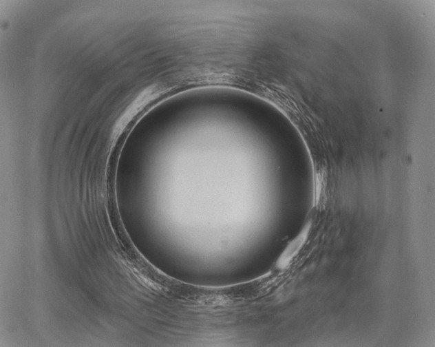 X0000063480195200601231355