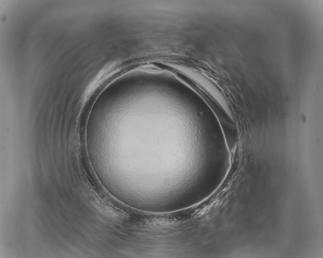 X0000063480198200601231355