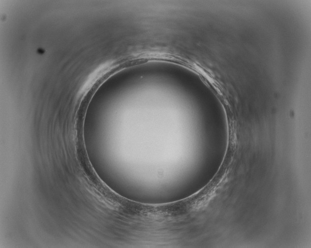 X0000063480199200601231355