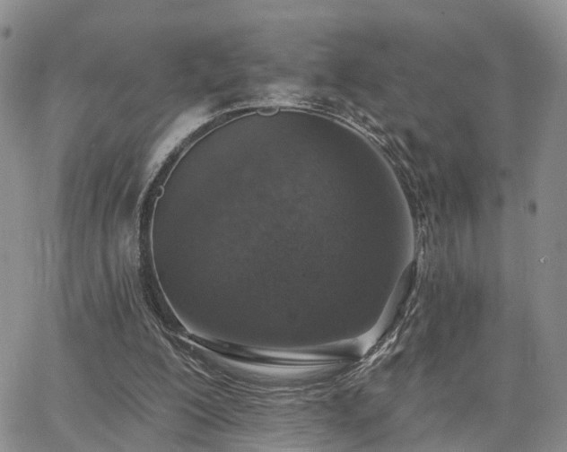 X0000063480200200601231355