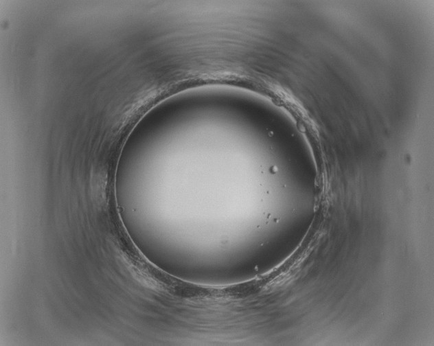 X0000063480201200601231355