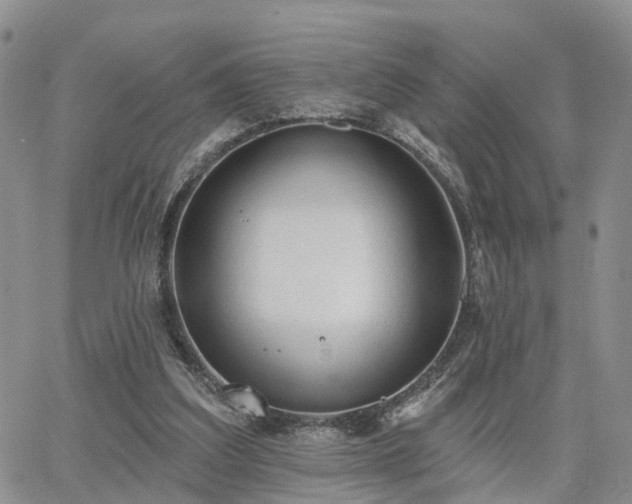 X0000063480203200601231355