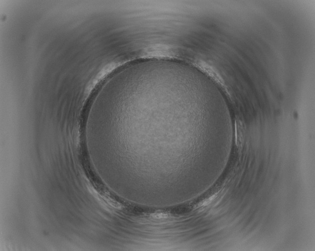 X0000063480204200601231355