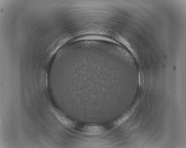 X0000063480205200601231355