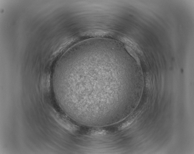 X0000063480206200601231355