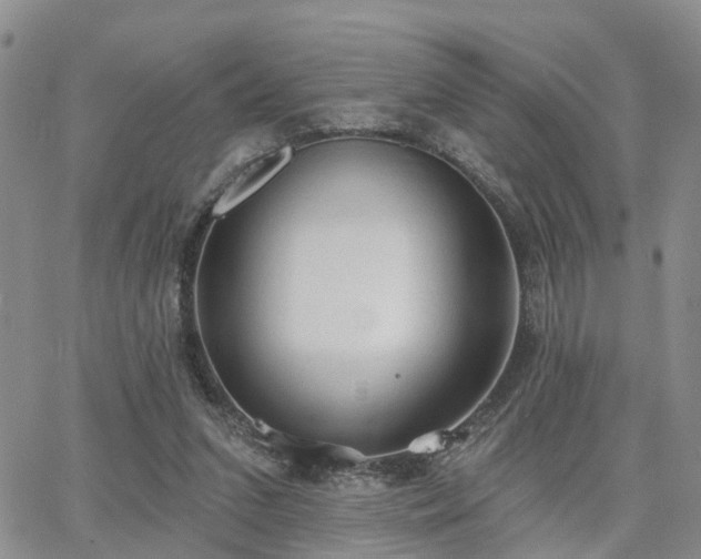 X0000063480207200601231355