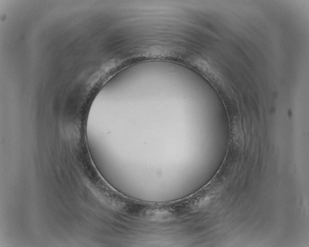 X0000063480208200601231355