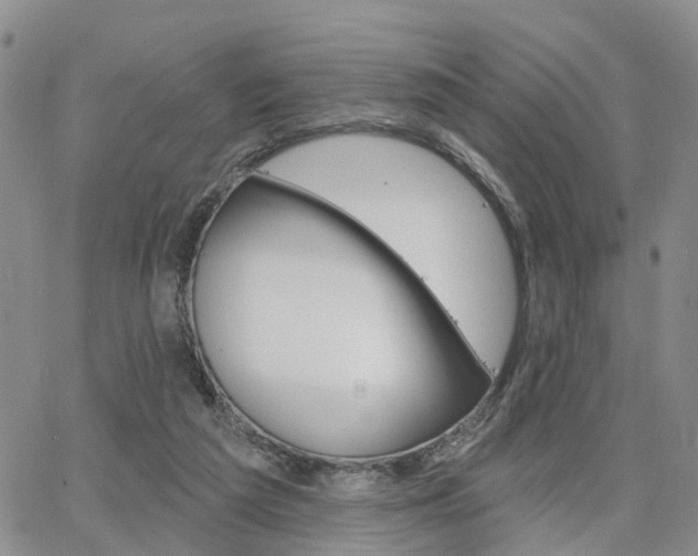 X0000063480209200601231355