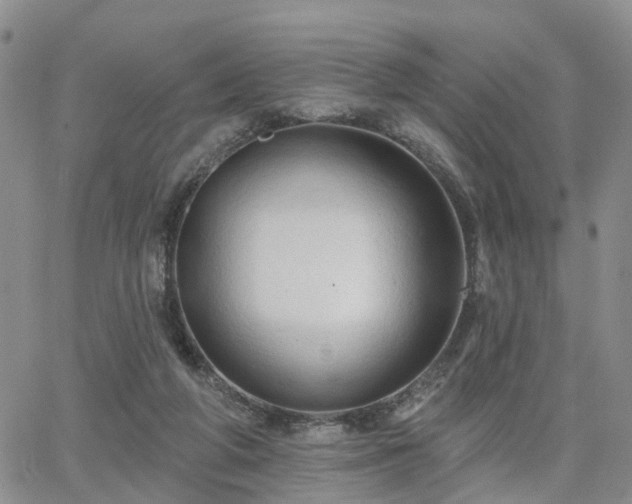 X0000063480210200601231355