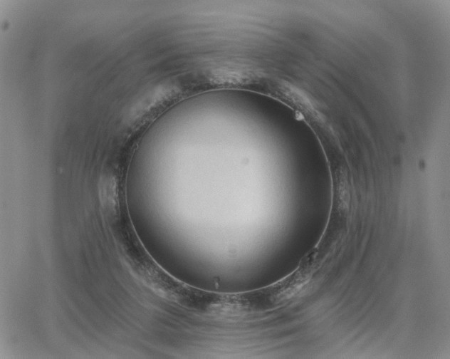 X0000063480211200601231355