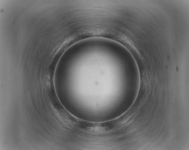 X0000063480212200601231355