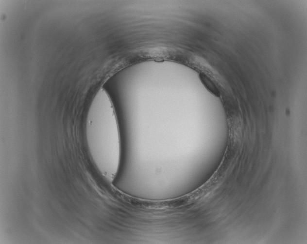 X0000063480213200601231355