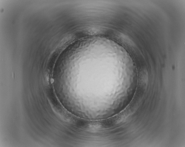 X0000063480214200601231355