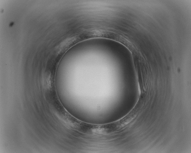 X0000063480216200601231355