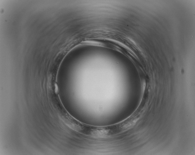 X0000063480217200601231355