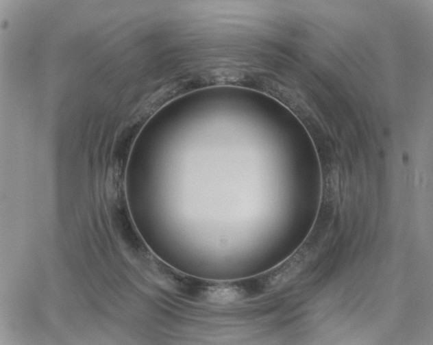 X0000063480218200601231355