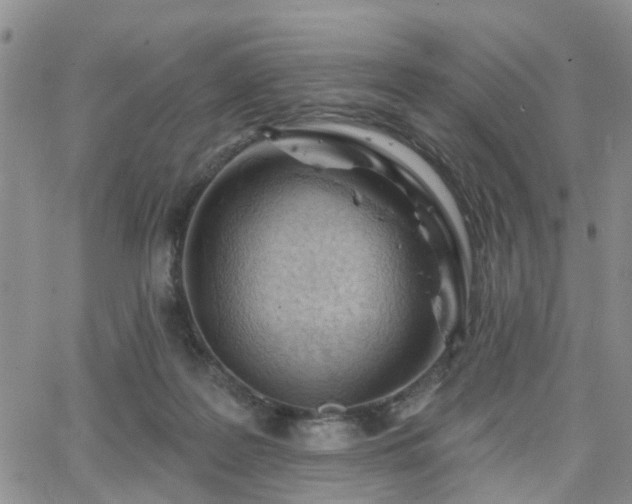 X0000063480219200601231355