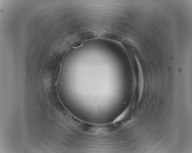 X0000063480221200601231355