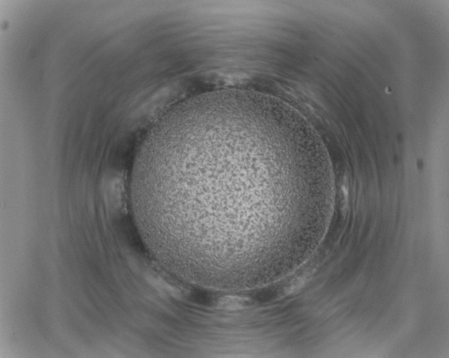 X0000063480222200601231355