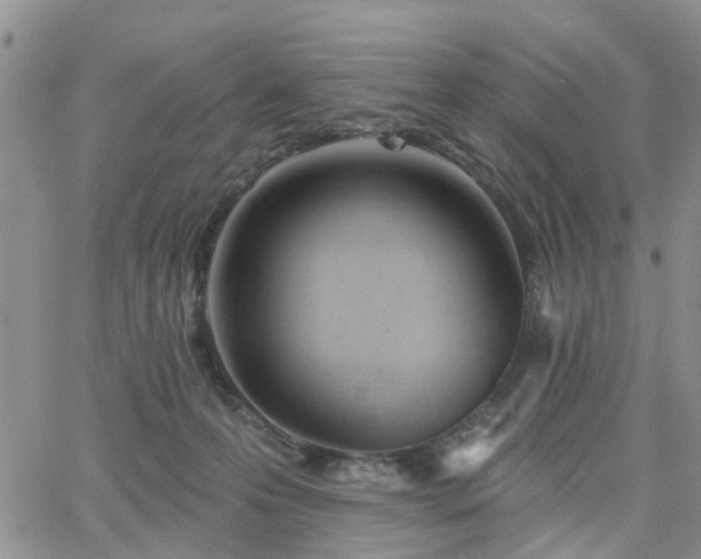 X0000063480223200601231355