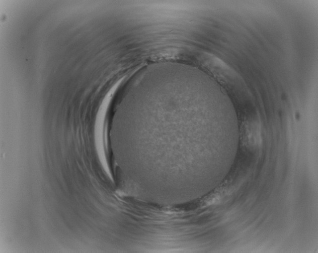 X0000063480224200601231355