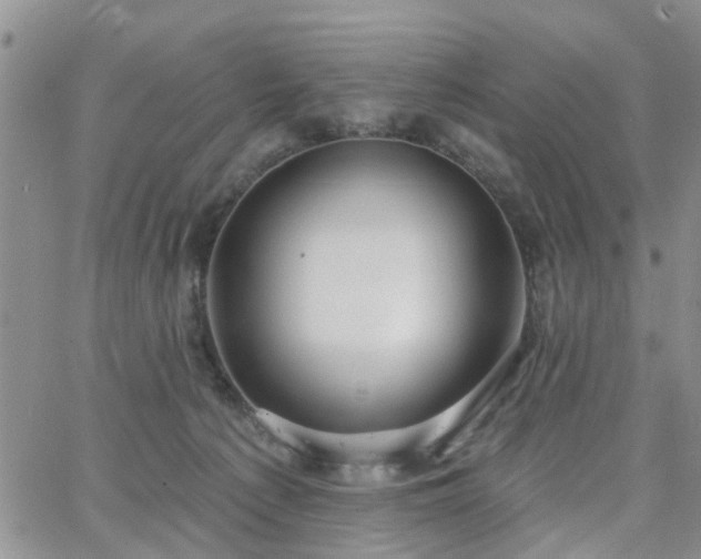 X0000063480225200601231355