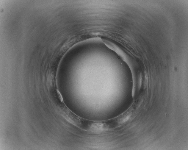 X0000063480227200601231355