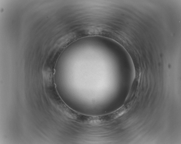 X0000063480228200601231355