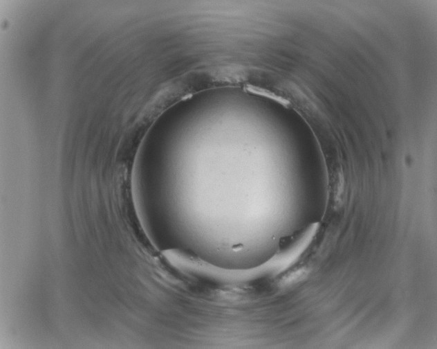 X0000063480229200601231355