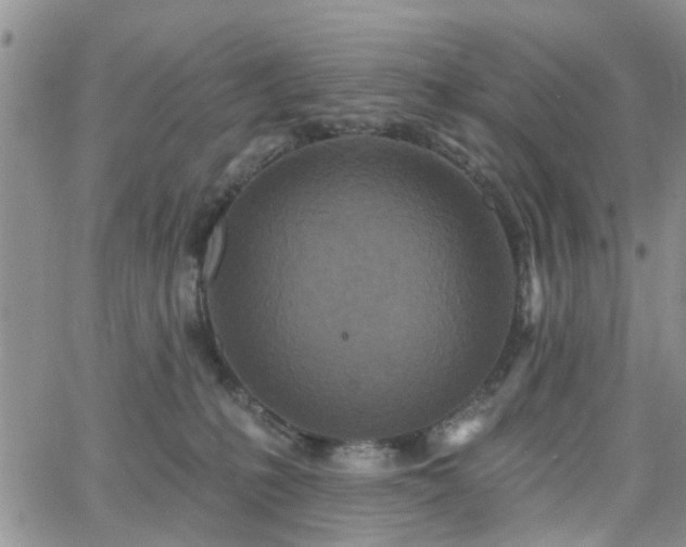 X0000063480231200601231355