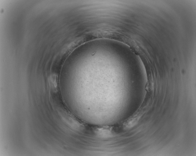 X0000063480232200601231355