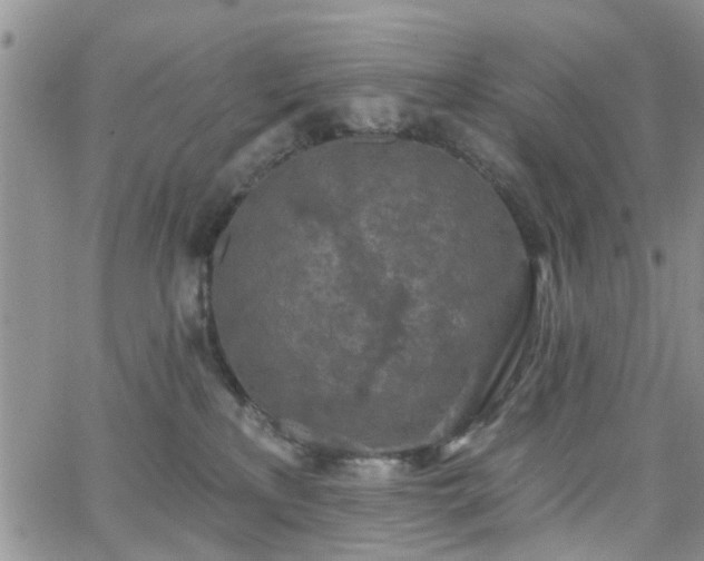 X0000063480233200601231355