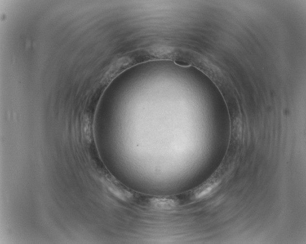 X0000063480234200601231355