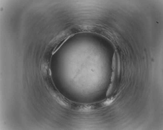 X0000063480235200601231355