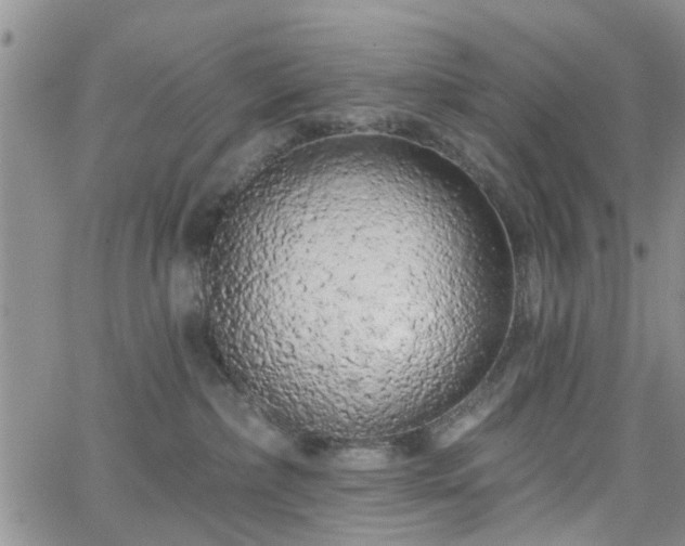 X0000063480236200601231355