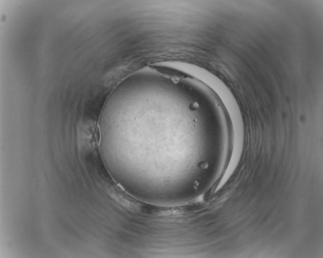 X0000063480237200601231355