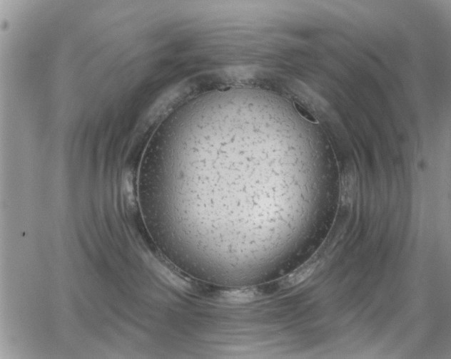 X0000063480238200601231355