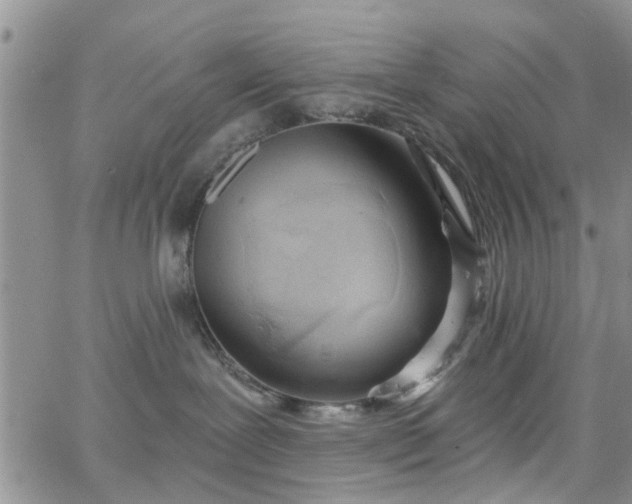 X0000063480239200601231355