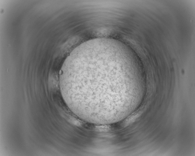 X0000063480240200601231355