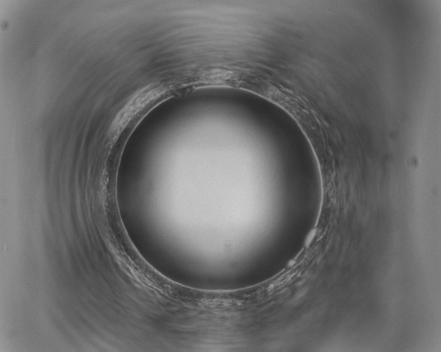 X0000063480242200601231354