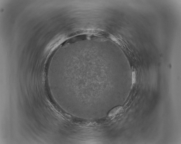 X0000063480243200601231354