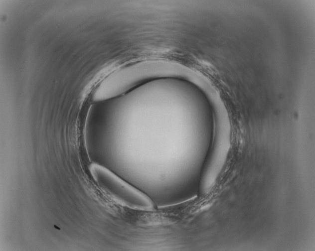 X0000063480244200601231354