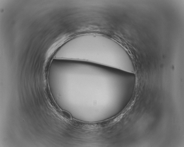 X0000063480245200601231354