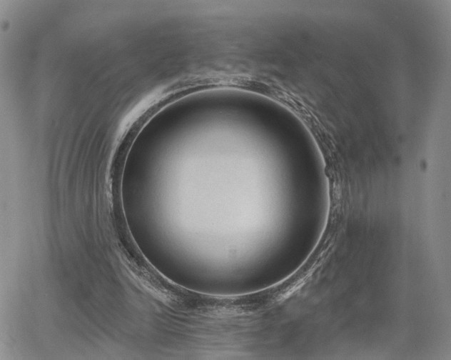 X0000063480246200601231354