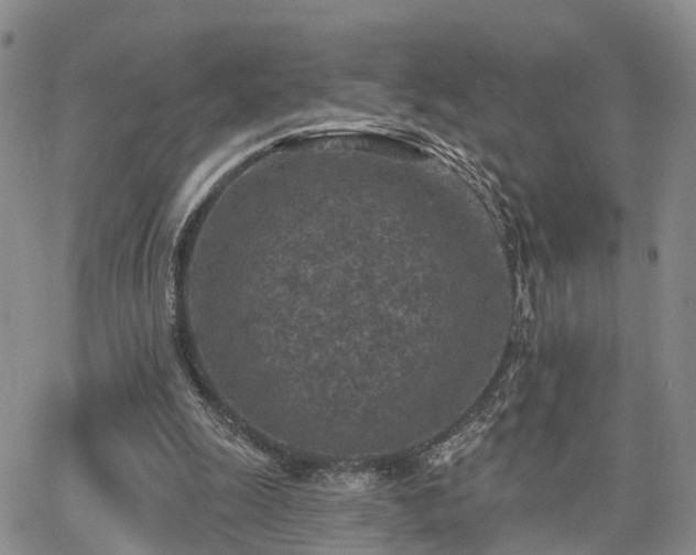 X0000063480247200601231354